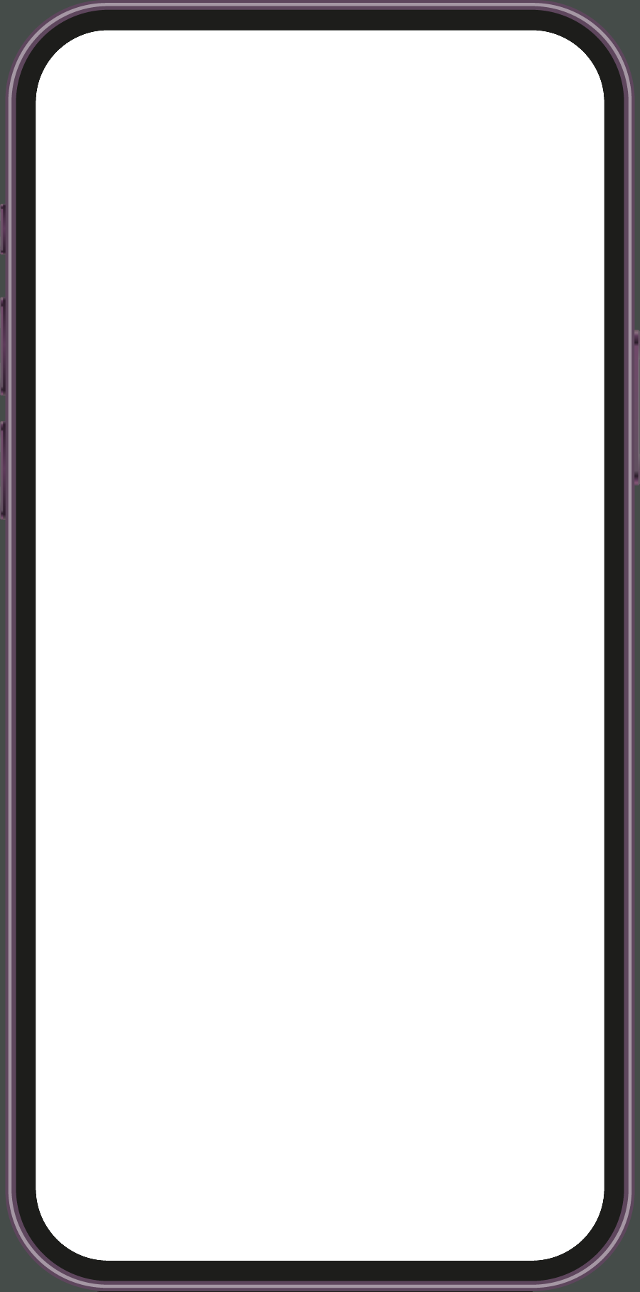 iphone overlay